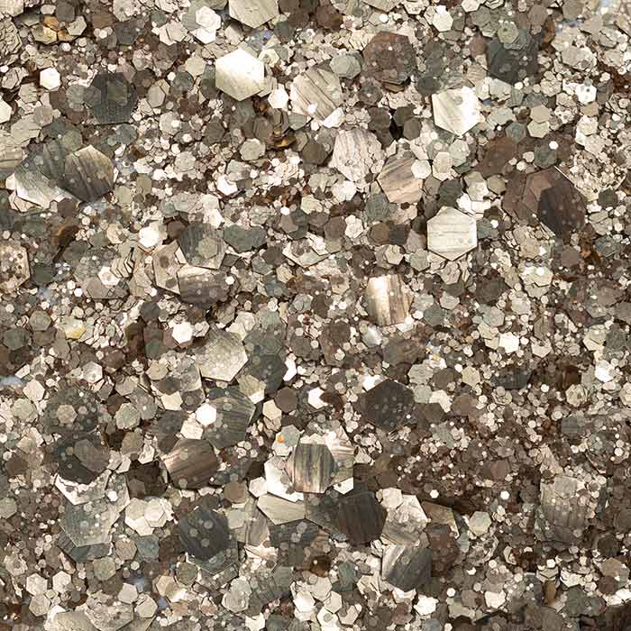 Paillettes NarSiSique - Si Si La Paillette Paillettes brillante