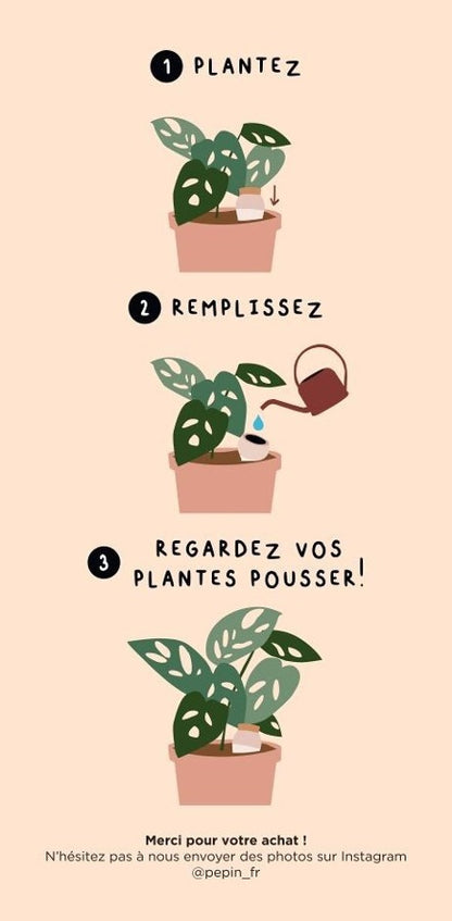 Olla Pepin – Blanc grainé