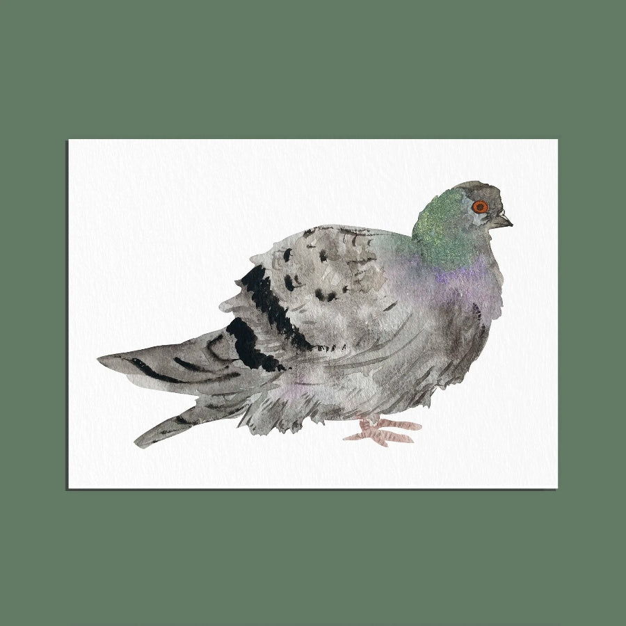 carte postale pigeon ogre illustration